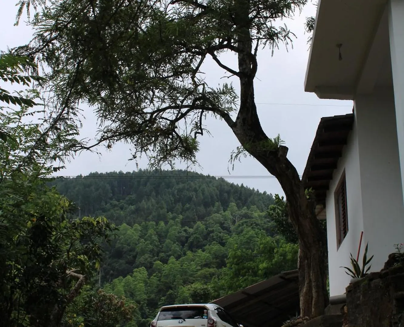 Hilltop Heaven Kandy