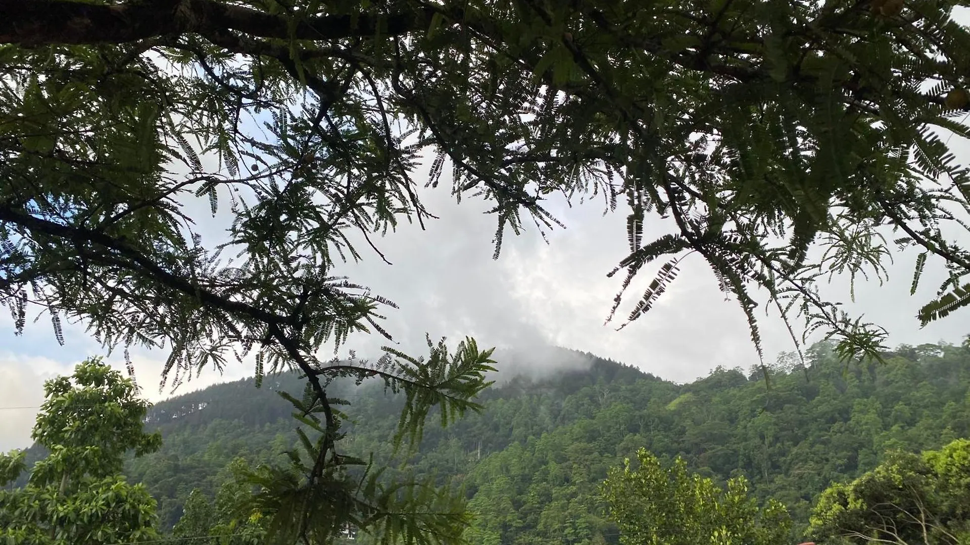 Hilltop Heaven Kandy 0*,