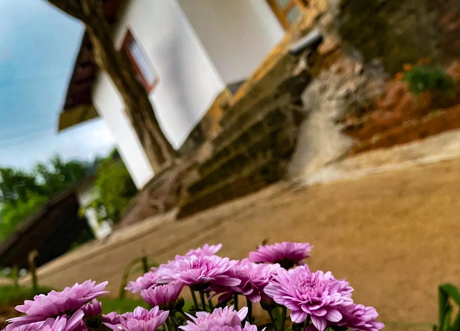 Hilltop Heaven Kandy