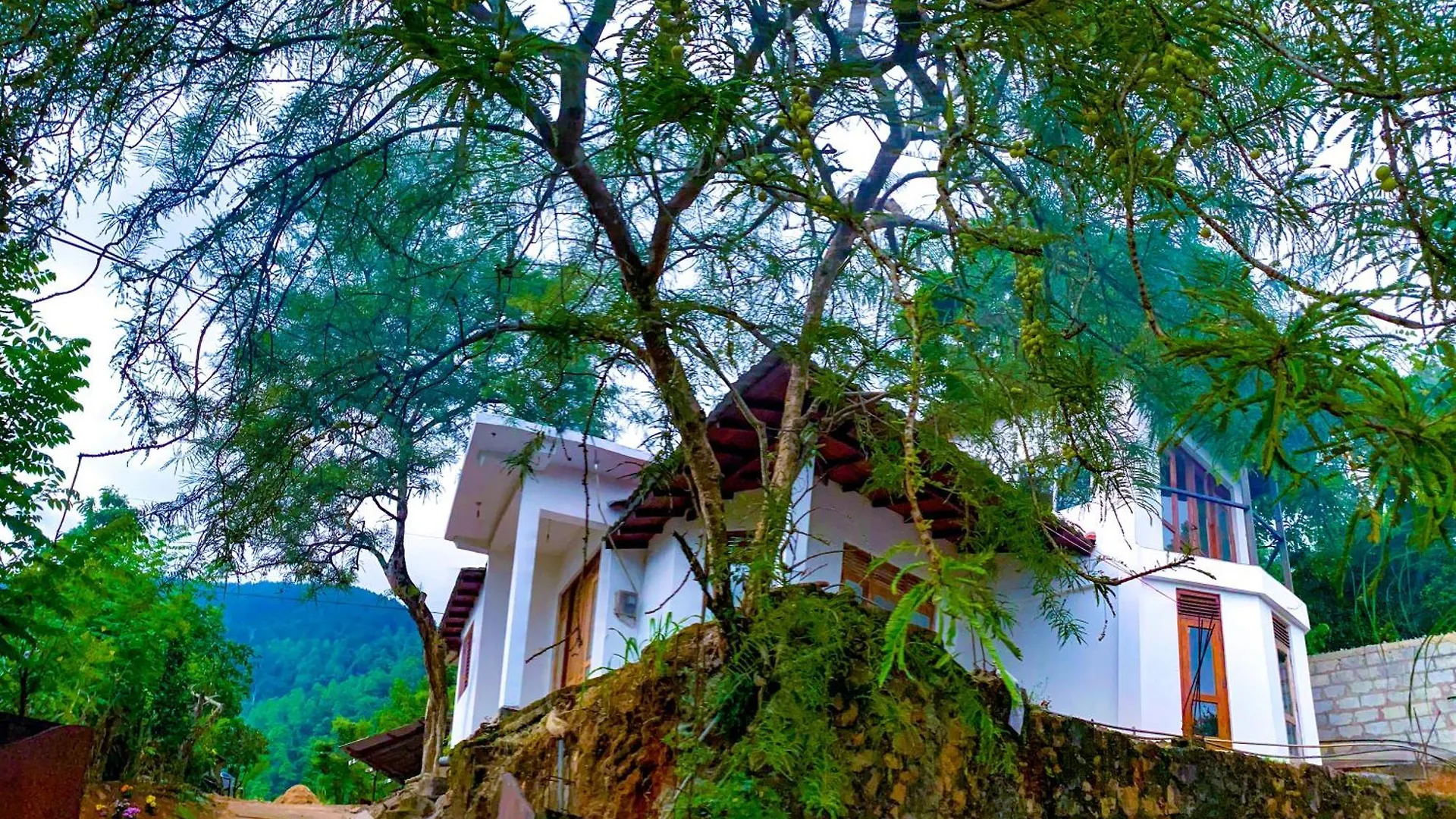 Apartment Hilltop Heaven Kandy