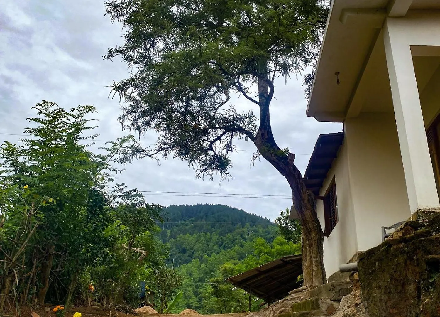 Hilltop Heaven Kandy Sri Lanka